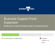 Business Support Fund