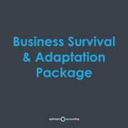 Business Survival & Adaptation Package