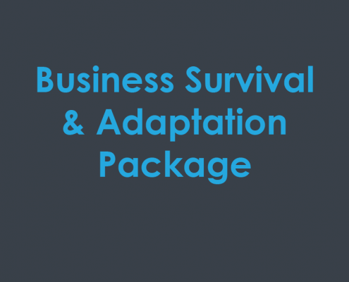 Business Survival & Adaptation Package