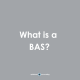 What is a BAS?